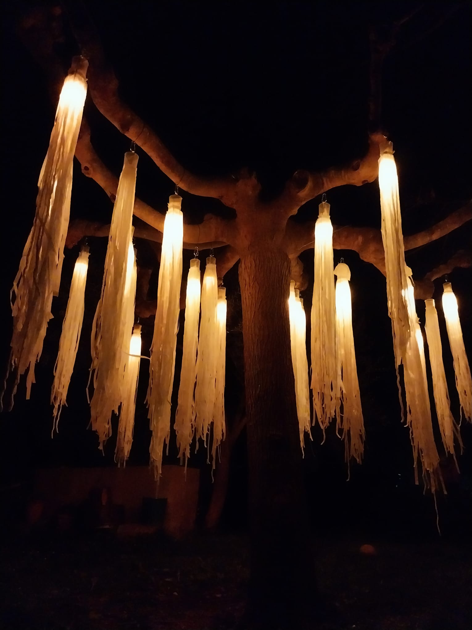 L'arbre 2
